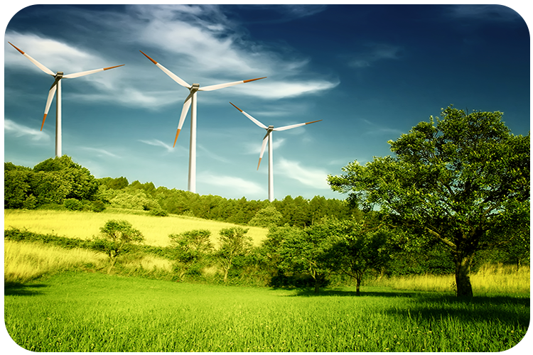 ISO 14001